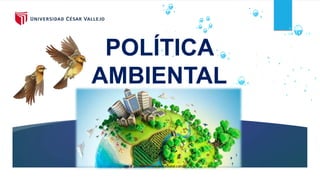 2017
POLÍTICA
AMBIENTAL
 
