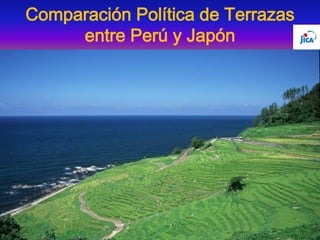 Comparación Política de Terrazas
entre Perú y Japón
 