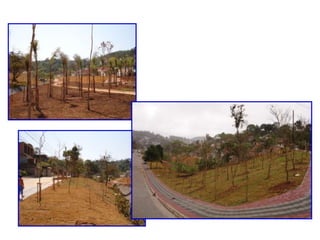 PARQUE LINEAR PARELHEIROS
 