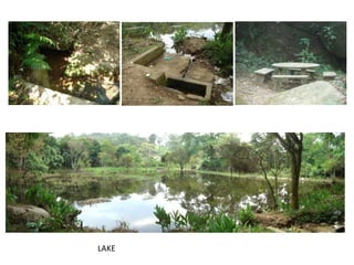 FAZENDINHA´S PICTURES- LAKE
 
