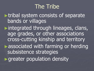 The Tribe
►tribal system consists of separate
bands or villages
►integrated through lineages, clans,
age grades, or other associations
cross-cutting kinship and territory
►associated with farming or herding
subsistence strategies
►greater population density
 