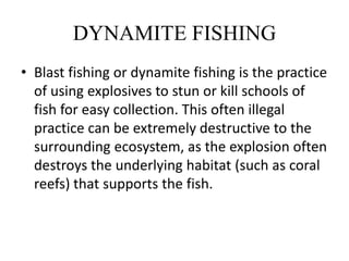 DYNAMITE FISHING
• Blast fishing or dynamite fishing is the practice
of using explosives to stun or kill schools of
fish for easy collection. This often illegal
practice can be extremely destructive to the
surrounding ecosystem, as the explosion often
destroys the underlying habitat (such as coral
reefs) that supports the fish.
 