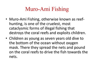 Muro-Ami Fishing
• Muro-Ami Fishing, otherwise known as reef-
hunting, is one of the cruelest, most
cataclysmic forms of illegal fishing that
destroys the coral reefs and exploits children.
• Children as young as seven years old dive to
the bottom of the ocean without oxygen
mask. There they spread the nets and pound
on the coral reefs to drive the fish towards the
nets.
 