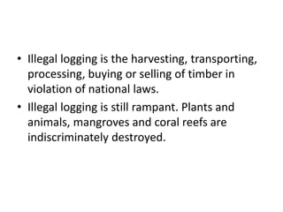 • Illegal logging is the harvesting, transporting,
processing, buying or selling of timber in
violation of national laws.
• Illegal logging is still rampant. Plants and
animals, mangroves and coral reefs are
indiscriminately destroyed.
 