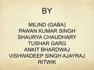 BY
MILIND (GABA)
PAWAN KUMAR SINGH
SHAURYA CHAUDHARY
TUSHAR GARG
ANKIT BHARDWAJ
VISHWADEEP SINGH AJAYRAJ
RITWIK
 