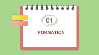 01
FORMATION
 