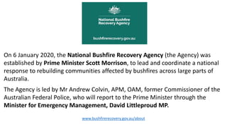 On 6 January 2020, the National Bushfire Recovery Agency (the Agency) was
established by Prime Minister Scott Morrison, to lead and coordinate a national
response to rebuilding communities affected by bushfires across large parts of
Australia.
The Agency is led by Mr Andrew Colvin, APM, OAM, former Commissioner of the
Australian Federal Police, who will report to the Prime Minister through the
Minister for Emergency Management, David Littleproud MP.
www.bushfirerecovery.gov.au/about
 