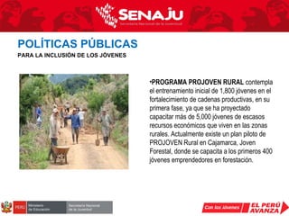 PROGRAMA PROJOVEN RURAL  contempla el entrenamiento inicial de 1,800 jóvenes en el fortalecimiento de cadenas productivas, en su primera fase, ya que se ha proyectado capacitar más de 5,000 jóvenes de escasos recursos económicos que viven en las zonas rurales. Actualmente existe un plan piloto de PROJOVEN Rural en Cajamarca, Joven Forestal, donde se capacita a los primeros 400 jóvenes emprendedores en forestación. POLÍTICAS PÚBLICAS   PARA LA INCLUSIÓN DE LOS JÓVENES 