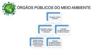 ÓRGÃOS PÚBLICOS DO MEIO AMBIENTE
Ministério do Meio
Ambiente
SISNAMA (Sistema
Nacional do Meio
Ambiente)
IBAMA (Instituto
Brasileiro do Meio
Ambiente e dos
Recursos Naturais
Renováveis)
FEMARH
(Fundação Estadual
de Meio Ambiente e
Recursos Humanos)
CONAMA
(Conselho Nacional
do Meio Ambiente)
 