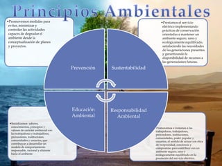 •Promovemos e instamos a las
trabajadoras, trabajadores,
proveedores, instituciones,
comunidades, poder popular y
usuarios, el sentido de actuar con ética
de reciprocidad, conciencia y
compromiso para contribuir con un
ambiente seguro, sano y
ecológicamente equilibrado en la
prestación del servicio eléctrico.
•Socializamos saberes,
conocimientos, principios y
valores de carácter ambiental con
las trabajadoras y trabajadores,
proveedores, instituciones,
comunidades y usuarios, que
contribuyan a desarrollar un
modelo de comportamiento
responsable, racional y eficiente
hacia el ambiente
•Prestamos el servicio
eléctrico implementando
prácticas de conservación
orientadas a mantener un
ambiente seguro, sano y
ecológicamente equilibrado,
satisfaciendo las necesidades
de las generaciones presentes
y garantizando la
disponibilidad de recursos a
las generaciones futuras.
•Promovemos medidas para
evitar, minimizar y
controlar las actividades
capaces de degradar el
ambiente desde la
conceptualización de planes
y proyectos.
Prevención Sustentabilidad
Responsabilidad
Ambiental
Educación
Ambiental
