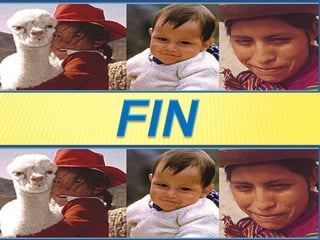FIN