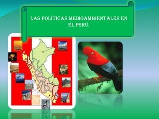 Las políticas medioambientales en
              el Perú.
 