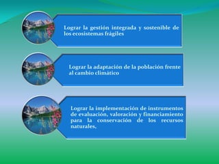 Lograr la gestión integrada y sostenible de
los ecosistemas frágiles




 Lograr la adaptación de la población frente
 al cambio climático




  Lograr la implementación de instrumentos
  de evaluación, valoración y financiamiento
  para la conservación de los recursos
  naturales,
 