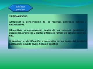Recursos
      genéticos

Lineamientos.

Impulsar la conservación de los recursos genéticos nativos y
naturalizados.

Incentivar la conservación in-situ de los recursos genéticos y
desarrollar, promover y alentar diferentes formas de conservación ex-
situ.

 Impulsar la identificación y protección de las zonas del territorio
nacional de elevada diversificación genética
 