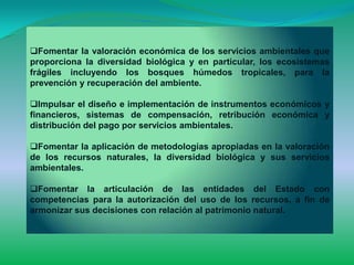 Fomentar la valoración económica de los servicios ambientales que
proporciona la diversidad biológica y en particular, los ecosistemas
frágiles incluyendo los bosques húmedos tropicales, para la
prevención y recuperación del ambiente.

Impulsar el diseño e implementación de instrumentos económicos y
financieros, sistemas de compensación, retribución económica y
distribución del pago por servicios ambientales.

Fomentar la aplicación de metodologías apropiadas en la valoración
de los recursos naturales, la diversidad biológica y sus servicios
ambientales.

Fomentar la articulación de las entidades del Estado con
competencias para la autorización del uso de los recursos, a fin de
armonizar sus decisiones con relación al patrimonio natural.
 