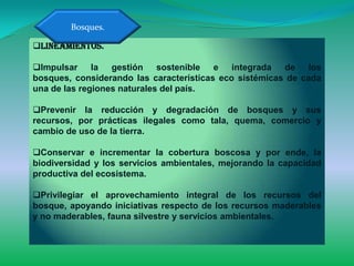 Bosques.

Lineamientos.

Impulsar     la  gestión    sostenible  e   integrada  de    los
bosques, considerando las características eco sistémicas de cada
una de las regiones naturales del país.

Prevenir la reducción y degradación de bosques y sus
recursos, por prácticas ilegales como tala, quema, comercio y
cambio de uso de la tierra.

Conservar e incrementar la cobertura boscosa y por ende, la
biodiversidad y los servicios ambientales, mejorando la capacidad
productiva del ecosistema.

Privilegiar el aprovechamiento integral de los recursos del
bosque, apoyando iniciativas respecto de los recursos maderables
y no maderables, fauna silvestre y servicios ambientales.
 