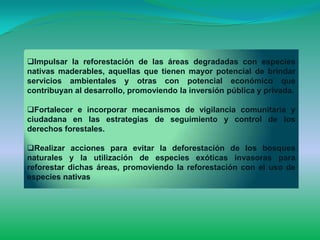 Impulsar la reforestación de las áreas degradadas con especies
nativas maderables, aquellas que tienen mayor potencial de brindar
servicios ambientales y otras con potencial económico que
contribuyan al desarrollo, promoviendo la inversión pública y privada.

Fortalecer e incorporar mecanismos de vigilancia comunitaria y
ciudadana en las estrategias de seguimiento y control de los
derechos forestales.

Realizar acciones para evitar la deforestación de los bosques
naturales y la utilización de especies exóticas invasoras para
reforestar dichas áreas, promoviendo la reforestación con el uso de
especies nativas
 