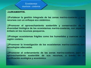 Ecosistemas
             marinos - costeros

Lineamientos.

Fortalecer la gestión integrada de las zonas marino-costeras y sus
recursos con un enfoque eco sistémico.

Promover el aprovechamiento sostenible y conservación de la
diversidad biológica de los ecosistemas marino-costeros, con especial
énfasis en los recursos pesqueros.

Proteger ecosistemas frágiles como los humedales y cuencas de la
región costera.

Promover la investigación de los ecosistemas marino-costeros con
tecnologías adecuadas.

Promover el ordenamiento de las zonas marino-costeras para un
aprovechamiento sostenible de sus recursos, a través de la
zonificación ecológica y económica.
 