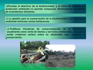 Persiste el deterioro de la biodiversidad, y el ritmo de medidas de
protección ambiental no permite compensar efectivamente la pérdida
de ecosistemas silvestres.

 La gestión para la conservación de la biodiversidad y la protección
ambiental enfrentan serias limitaciones.


 Proliferan iniciativas de comercialización de la Naturaleza,
usualmente como venta de bienes y servicios ambientales, aunque no
existe evidencia certera sobre su efectividad para asegurar la
conservación.
 