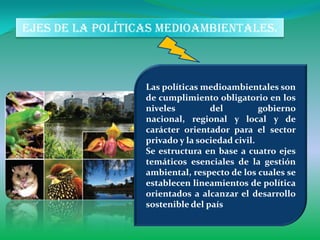 Ejes de la políticas medioambientales.



                  Las políticas medioambientales son
                  de cumplimiento obligatorio en los
                  niveles         del          gobierno
                  nacional, regional y local y de
                  carácter orientador para el sector
                  privado y la sociedad civil.
                  Se estructura en base a cuatro ejes
                  temáticos esenciales de la gestión
                  ambiental, respecto de los cuales se
                  establecen lineamientos de política
                  orientados a alcanzar el desarrollo
                  sostenible del país
 