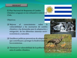 Uruguay

El Plan Nacional de Respuesta al Cambio
Climático uruguayo es tan exhaustivo como el de
Chile.

Objetivos:

 Mejorar     el    conocimiento     sobre   la
  vulnerabilidad a los escenarios de cambio
  climático y las demandas para la adaptación y
  mitigación, de los diferentes sistemas socio-
  económicos y naturales.

 Establecer políticas preventivas de adaptación
  que contribuyan a proteger la biodiversidad y
  los ecosistemas .

 Disminuir la vulnerabilidad de la población
  ante el cambio climático.
 