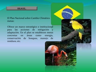 Brasil.


El Plan Nacional sobre Cambio Climático.
metas:

Ofrece un marco estratégico e institucional
para las acciones de mitigación y
adaptación. En el plan se establecen metas
concretas en áreas como energía,
conservación de bosques, manejo de
residuos, etc.
 