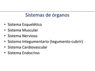 Sistemas de órganos Sistema Esquelético Sistema Muscular  Sistema Nervioso Sistema Integumentario (tegumento-cubrir) Sistema Cardiovascular Sistema Endocrino 