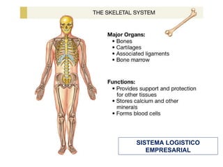 SISTEMA LOGISTICO EMPRESARIAL 