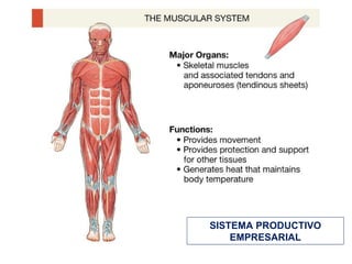 SISTEMA PRODUCTIVO EMPRESARIAL 