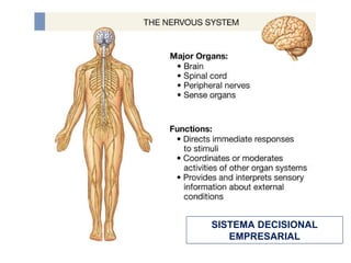 SISTEMA DECISIONAL EMPRESARIAL 
