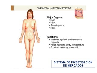 SISTEMA DE INVESTIGACION DE MERCADOS 