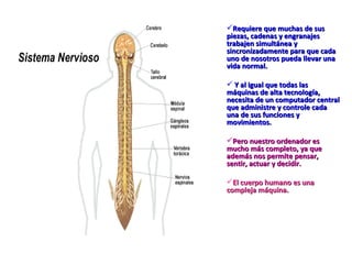 Requiere que muchas de sus piezas, cadenas y engranajes trabajen simultánea y sincronizadamente para que cada uno de nosotros pueda llevar una vida normal. Y al igual que todas las máquinas de alta tecnología, necesita de un computador central que administre y controle cada una de sus funciones y movimientos. Pero nuestro ordenador es mucho más completo, ya que además nos permite pensar, sentir, actuar y decidir.   El cuerpo humano es una compleja máquina.   