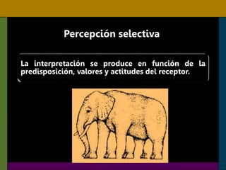 Percepción selectiva
La interpretación se produce en función de la
predisposición, valores y actitudes del receptor.
 
