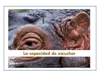 La capacidad de escuchar 