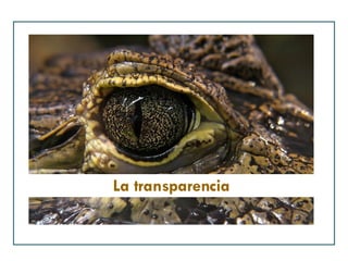 La transparencia 