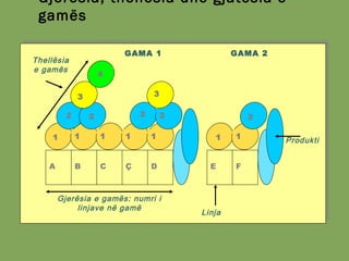 Gjerësia, thellësia dhe gjatësia e
gamës
A B C Ç D E F
1
2
3
4
2 2
1
Gjerësia e gamës: numri i
linjave në gamë
Linja
Thellësia
e gamës
GAMA 1 GAMA 2
22
3
1 1 1 1 1 Produkti
 