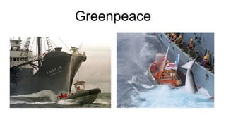 Greenpeace
 