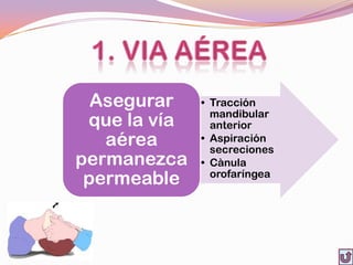 Asegurar    • Tracción
                mandibular
 que la vía     anterior
   aérea      • Aspiración
                secreciones
permanezca    • Cànula
 permeable      orofaríngea
 