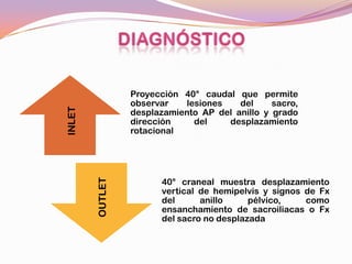 Proyección 40° caudal que permite
                 observar   lesiones    del     sacro,
INLET



                 desplazamiento AP del anillo y grado
                 dirección    del    desplazamiento
                 rotacional




                       40° craneal muestra desplazamiento
        OUTLET




                       vertical de hemipelvis y signos de Fx
                       del      anillo     pélvico,    como
                       ensanchamiento de sacroiliacas o Fx
                       del sacro no desplazada
 