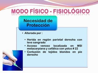 Necesidad de
  Protección
• Alterada por :

 • Herida en región parietal derecha con
   leve sangrado
 • Acceso venoso localizada en MSI
   metacarpiana y cefálica con yelco # 22
 • Contusión de tejidos blandos en pie
   derecho
 