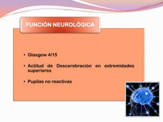 FUNCIÓN NEUROLÓGICA




• Glasgow 4/15

• Actitud de Descerebración en extremidades
  superiores

• Pupilas no reactivas
 