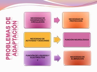 NECESIDAD DE
                           NECESIDAD DE
   OXIGENACIÓN Y
                            PROTECCIÓN
    CIRCULACIÓN




    NECESIDAD DE
                        FUNCIÓN NEUROLÓGICA
ACTIVIDAD Y DESCANSO




FUNCIÓN DE LIQUIDOS Y
   ELECTROLITOS             NECESIDAD DE
                             ELIMINACIÓN
         Y
 