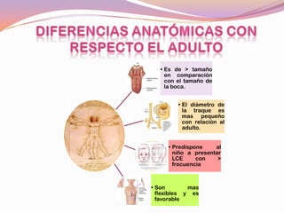 • Es de > tamaño
     en comparación
     con el tamaño de
     la boca.


         • El diámetro de
           la traque es
           mas pequeño
           con relación al
           adulto.


     • Predispone    al
       niño a presentar
       LCE     con    >
       frecuencia



• Son        mas
  flexibles y es
  favorable
 