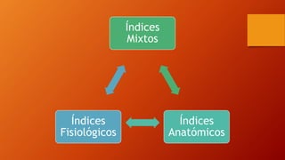 Índices
Mixtos
Índices
Anatómicos
Índices
Fisiológicos
 