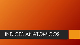 INDICES ANATOMICOS
 