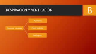 RESPIRACION Y VENTILACION
B
Examinar y evaluar
Pulmones
Diafragma
Pared torácica
 