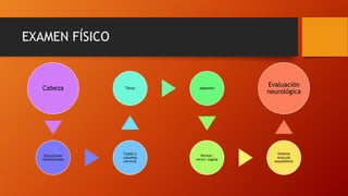 EXAMEN FÍSICO
Cabeza
Estructuras
maxilofaiales
Cuello y
columna
cervical
Tórax Abdomen
Periné/
recto/ vagina
Sistema
musculo
esquelético
Evaluación
neurológica
 
