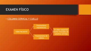 EXAMEN FÍSICO
• COLUMNA CERVICAL Y CUELLO
Traumatismo de
cabeza
Traumatismo
maxilofacial
TODO PACIENTE
Se debe sospechar
lesión inestable de
columna cervical
 