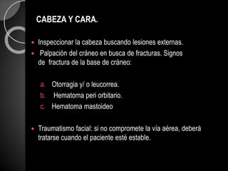 CABEZA Y CARA.
 Inspeccionar la cabeza buscando lesiones externas.
 Palpación del cráneo en busca de fracturas. Signos
de fractura de la base de cráneo:
a. Otorragia y/ o leucorrea.
b. Hematoma peri orbitario.
c. Hematoma mastoideo
 Traumatismo facial: si no compromete la vía aérea, deberá
tratarse cuando el paciente esté estable.
 