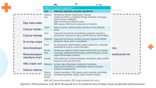 Paso número 10
Algoritmo: Politraumatismo. (s/f). SEUP. Recuperado el 12 de octubre de 2023, de https://seup.org/algoritmo-politraumatismo/
Durante el examen secundario:
- Fijar tubo endotraqueal e inmovilización cervical.
- Colocar sonda nasogástrica.
- Colocar drenaje pleural o pericárdico definitivo si precisa.
- Si no hay sospecha de lesión uretral realizar sondaje vesical.
- Giro/movilización en bloque y colocación de tabla espinal de inmovilizacion.
- Musculoesquelético: lavar y cubrir heridas, alineación, leve tracción e inmovilización de
miembros fracturados.
- SNC: tratar convulsiones y dolor.
- Valorar cobertura antibiótica y valorar profilaxis antitetánica
 